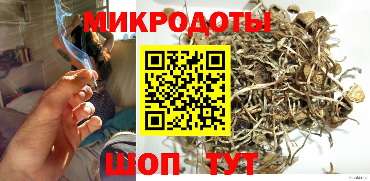 Псилоцибиновые грибы мухоморы Сыктывкар