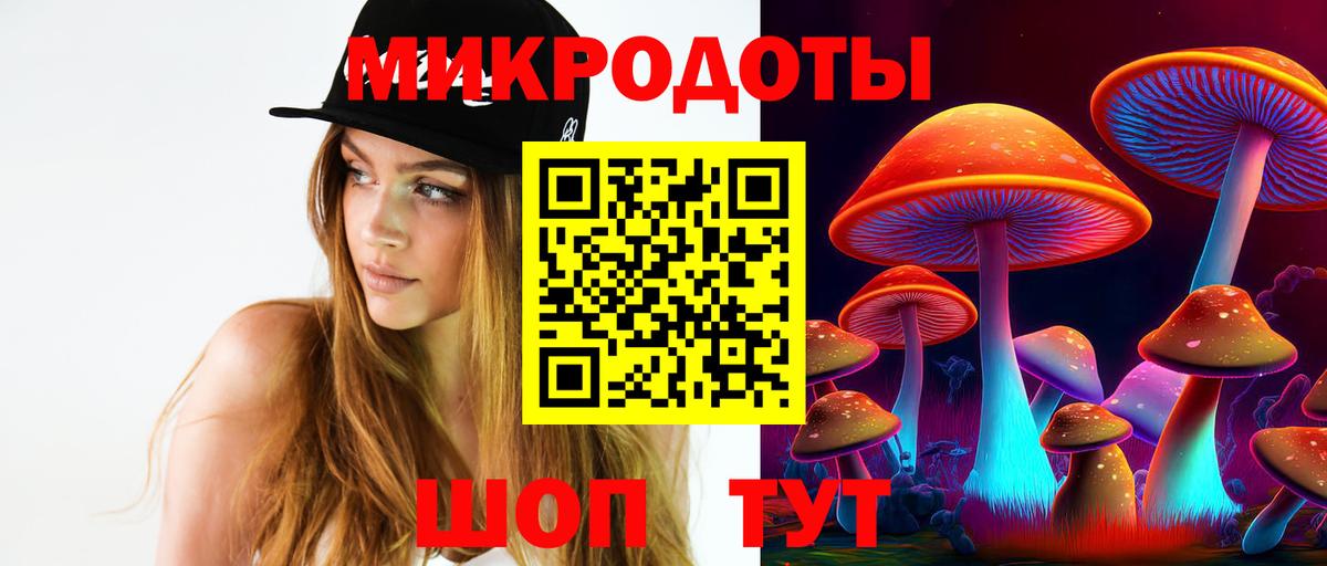 Псилоцибиновые грибы прущие грибы  Вход с VPN  Сыктывкар  Галлюциногенные грибы мицелий 